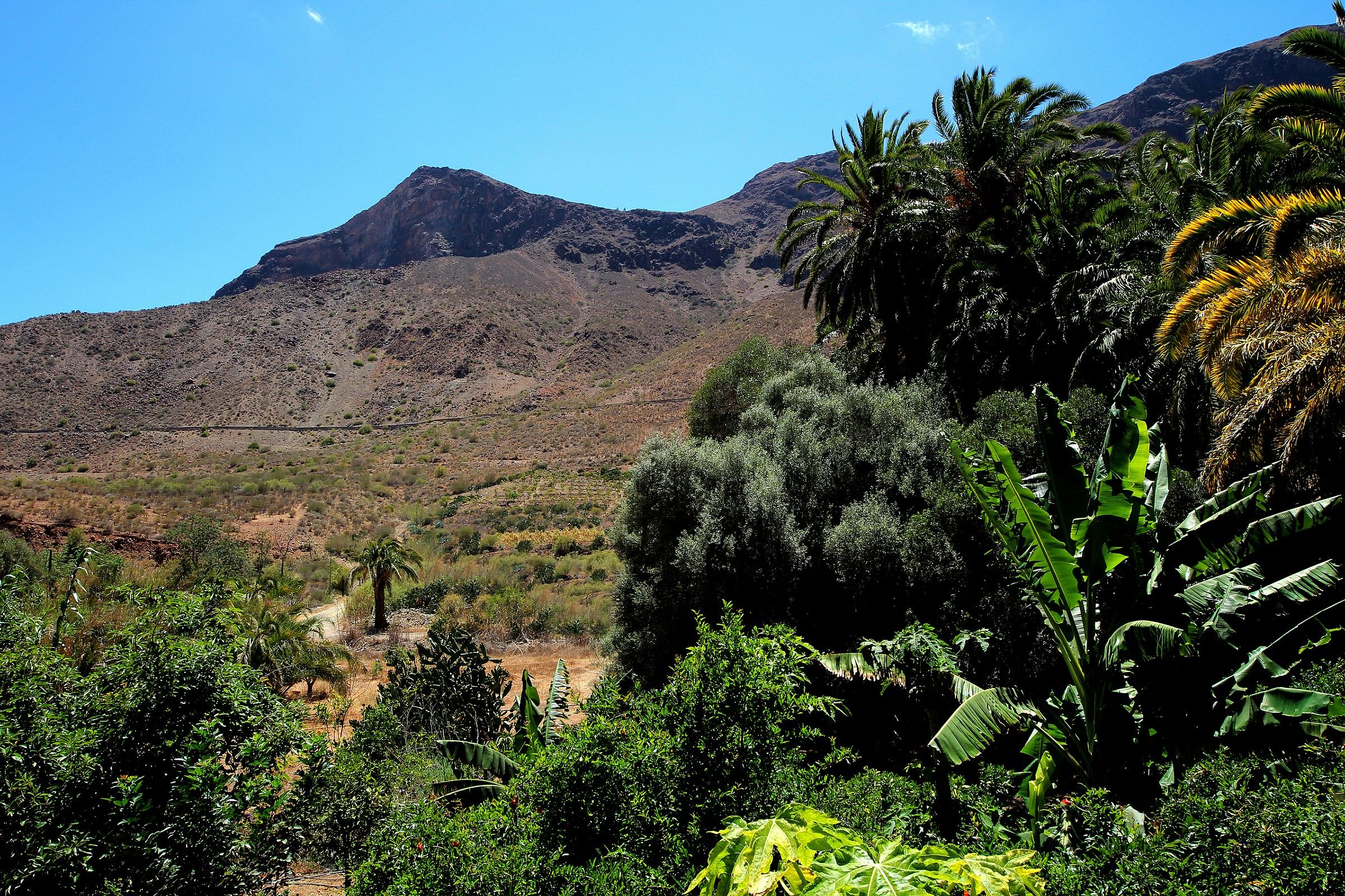 Gran Canaria, the south