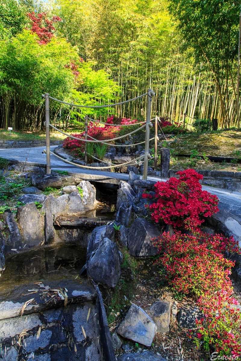 Fiori a Villa Carlotta