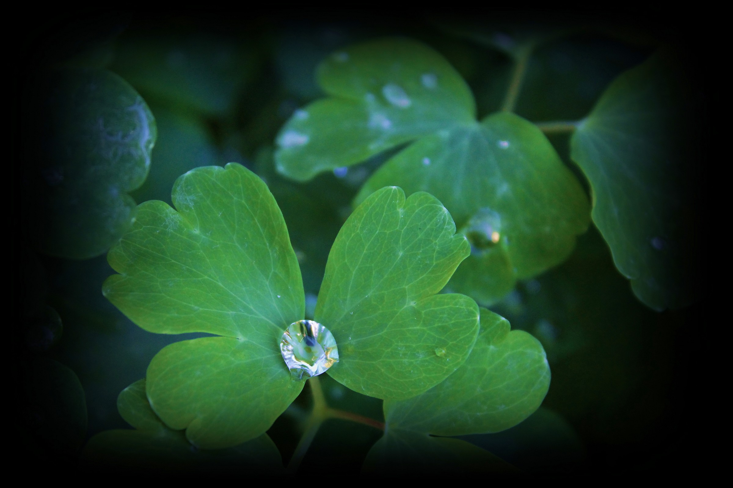 Diamond in the center