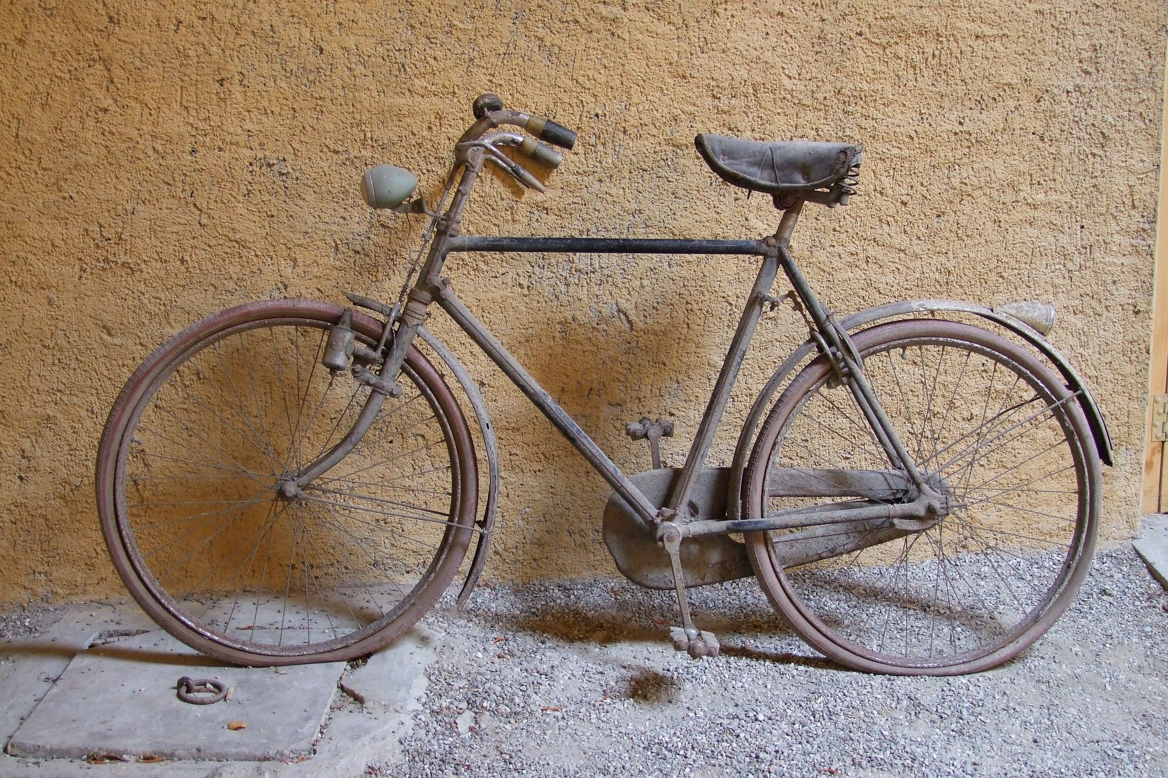 The bicycle