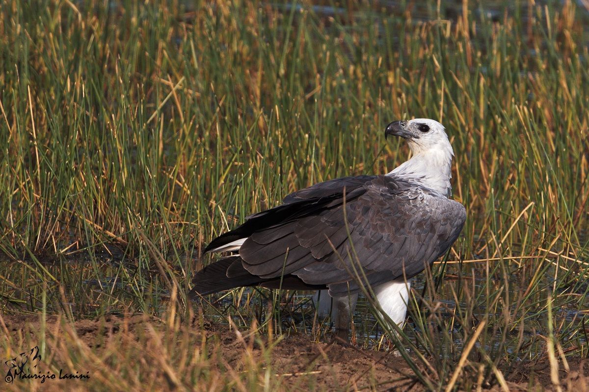 Pediluvio in una giornata afosa