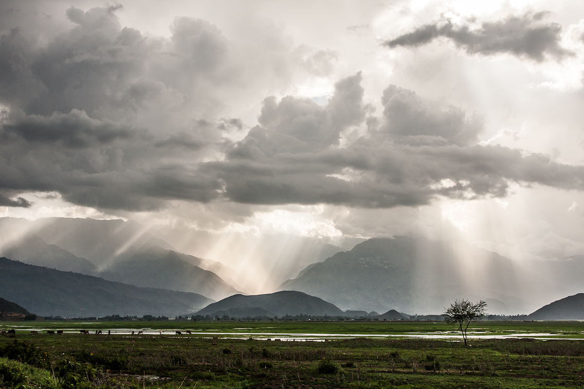 Announcing the rainy season