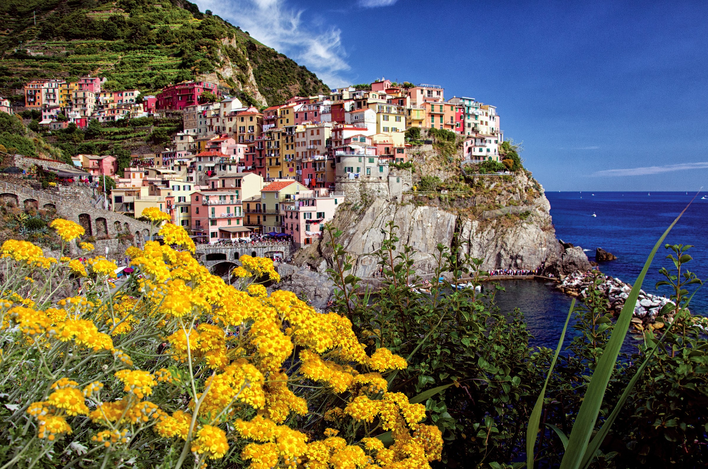 Manarola