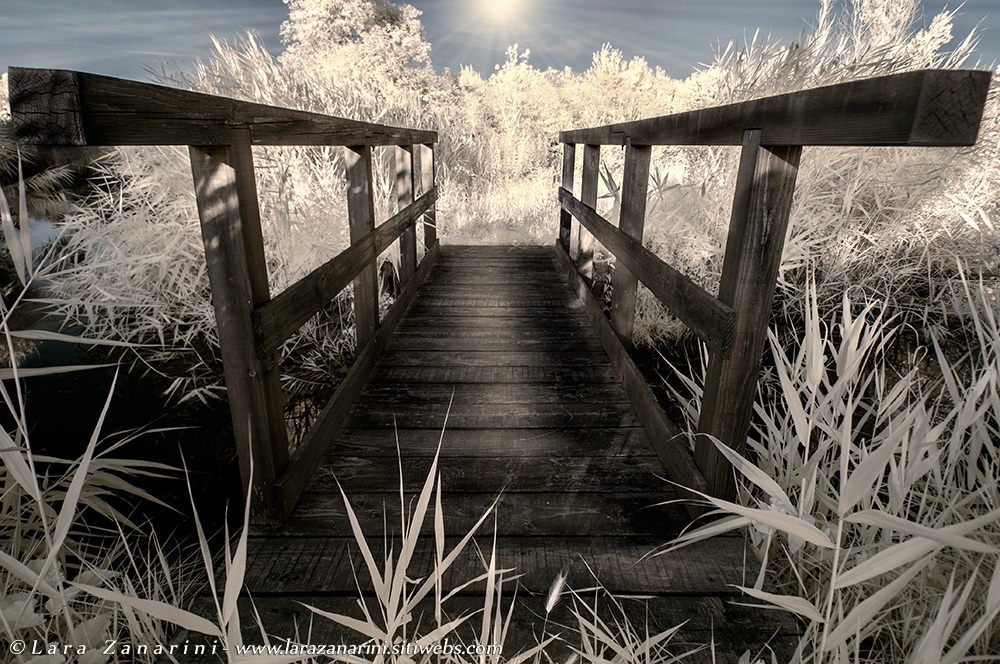 ......"il ponte verso l'Oasi della Natura"... ...