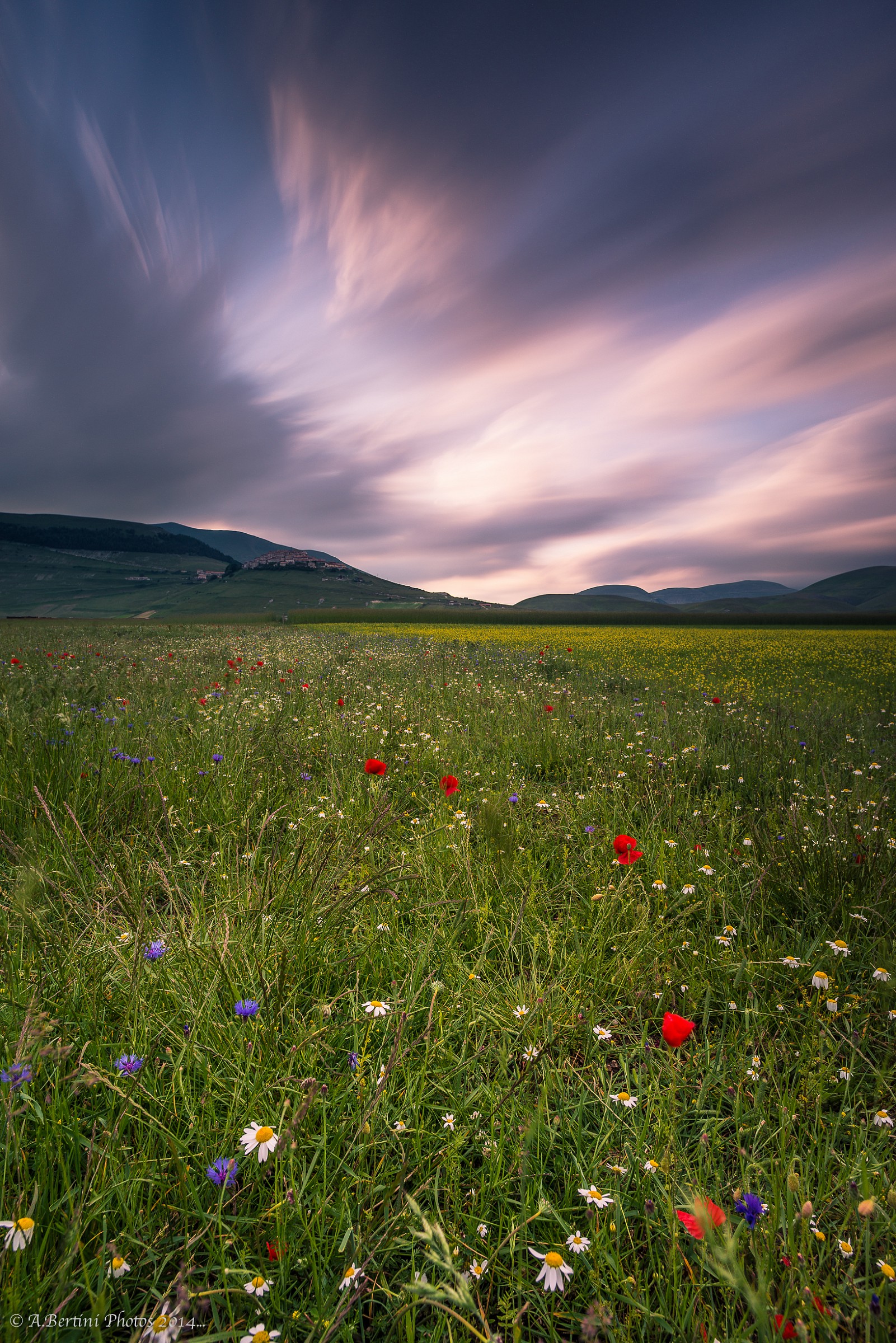 Simply Castelluccio!