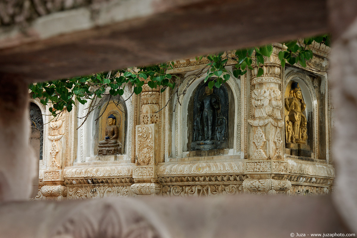 Tempio Buddista, 013123