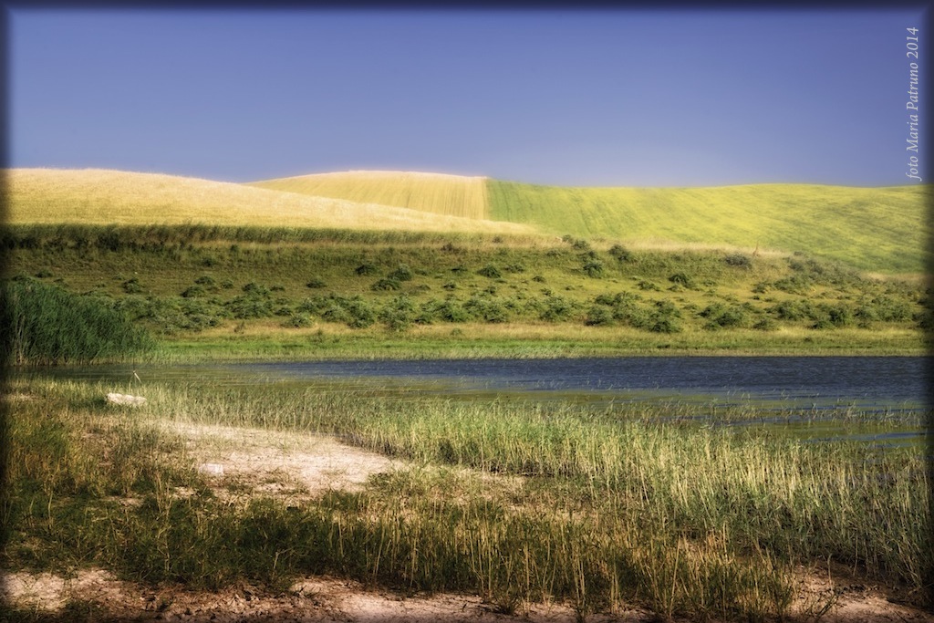 Dam greenhouse Crow (Poggiorsini)