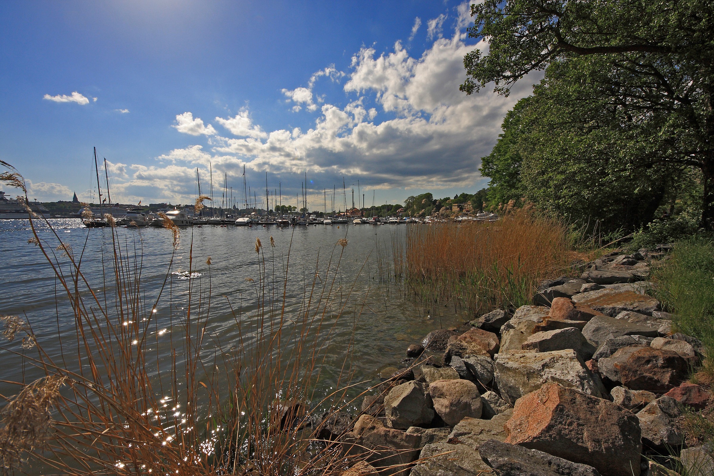 Real urban park - Warm afternoon in late May