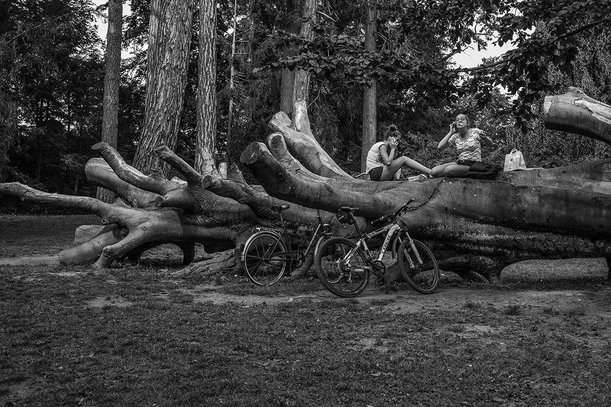 Io telefono e io mangio