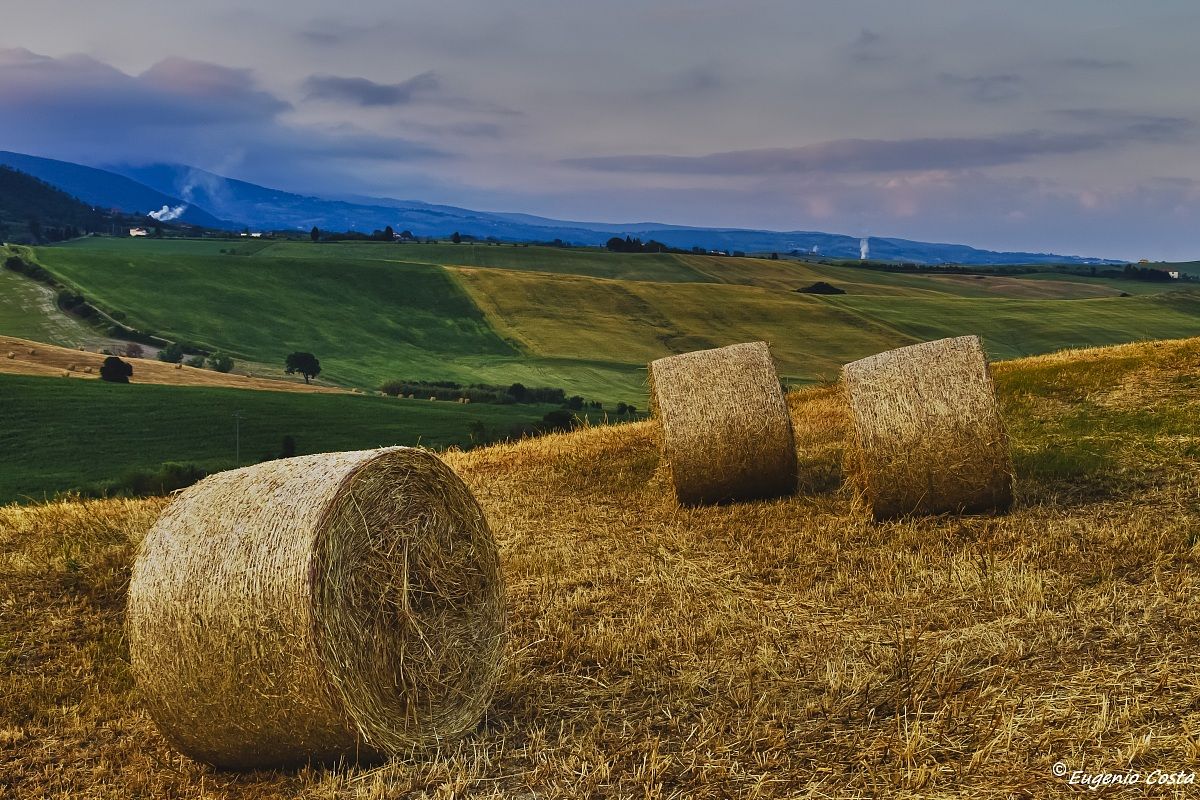 between Orciano Pisano and Santa Luce