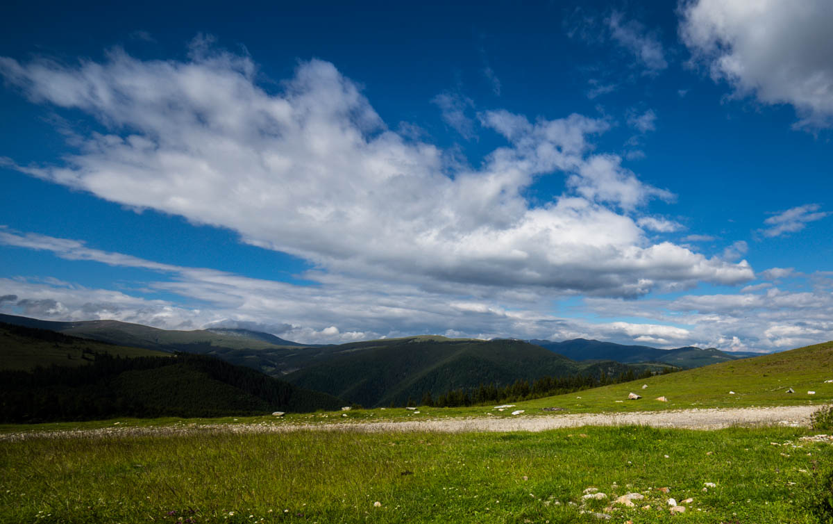 transalpina 1