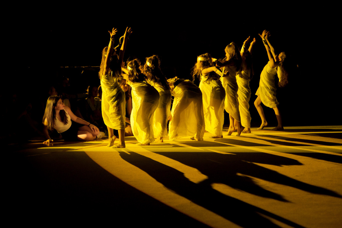 Small butterflies # 9