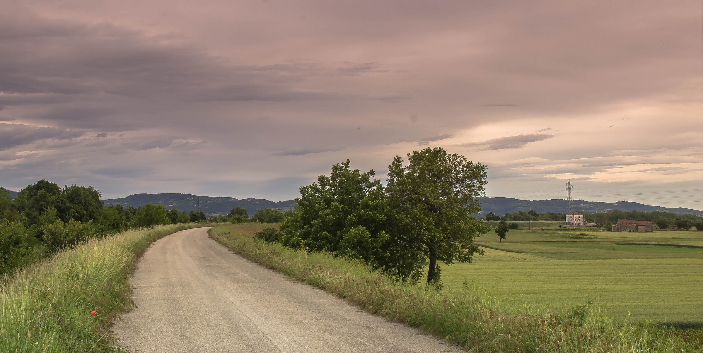 bank of the river in the spring