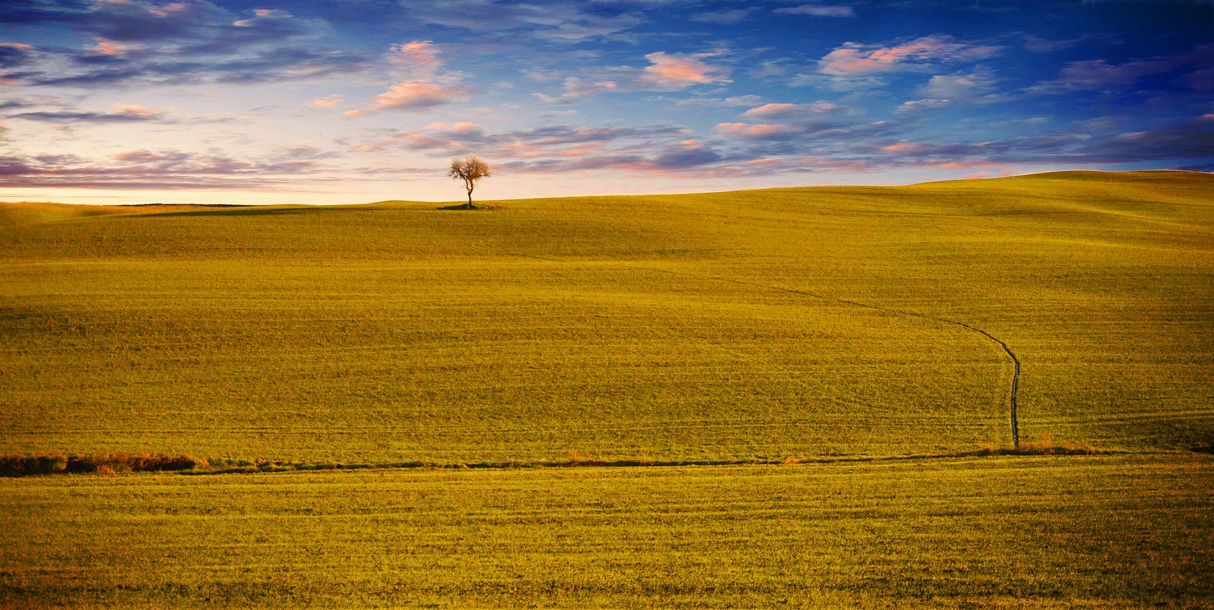 the colors of the Sienese countryside