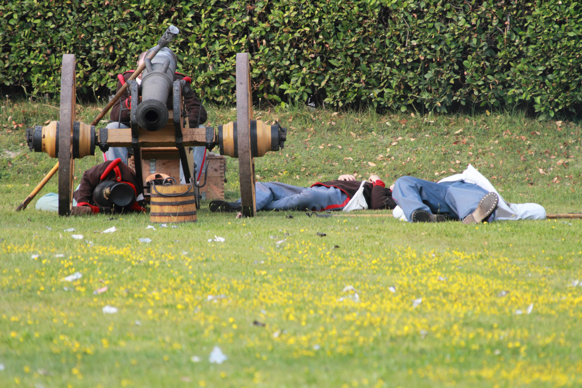 20) 155° Solferino S.Matrino della battaglia