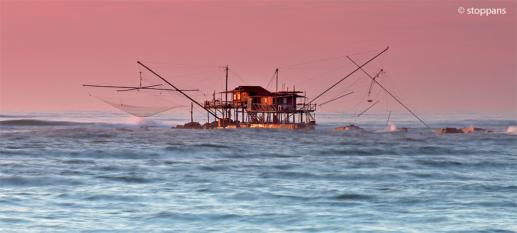 The world we live in