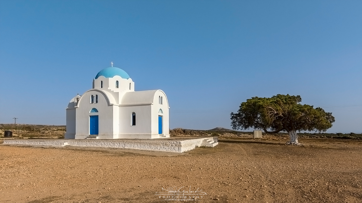 The Church & The Tree