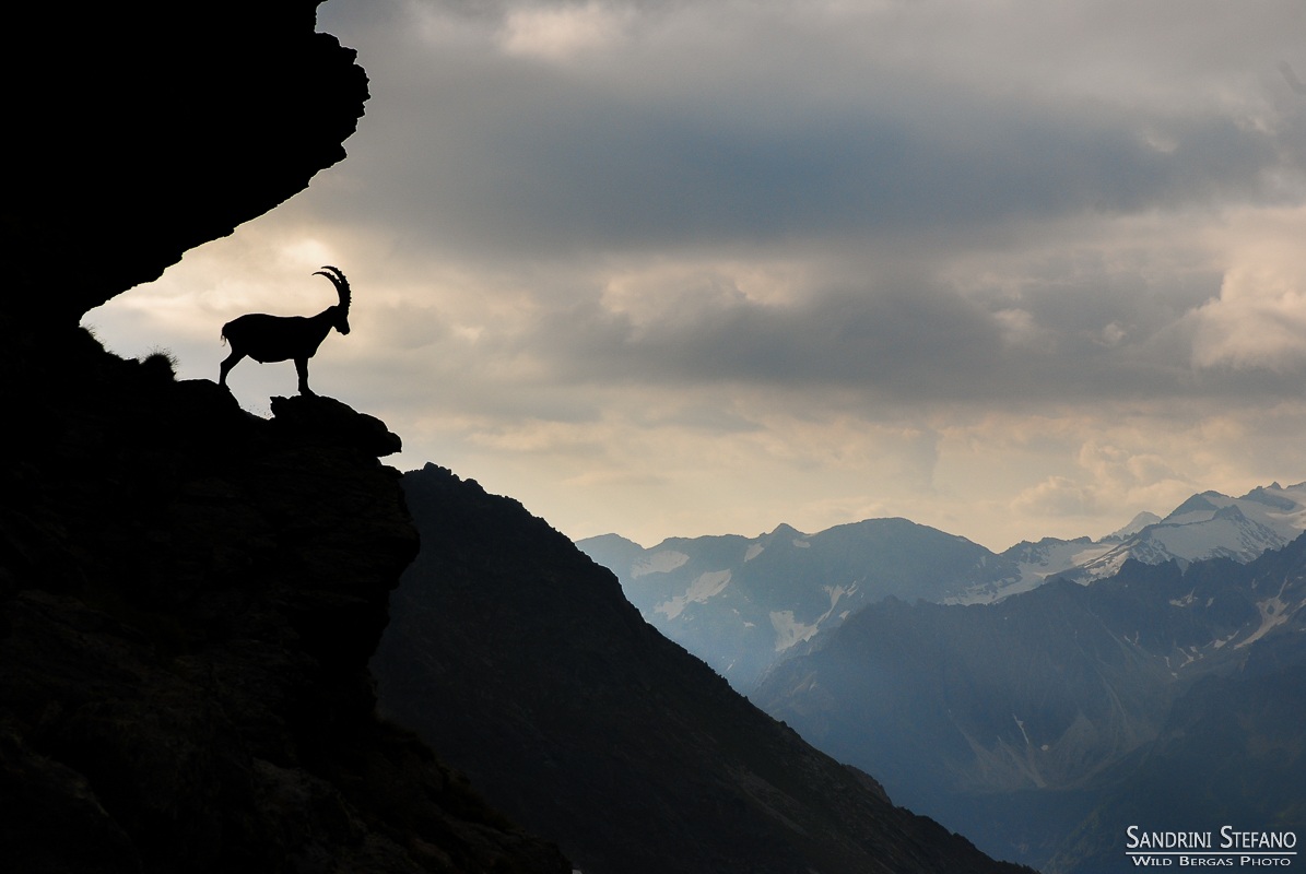 The Dawn of a New Day