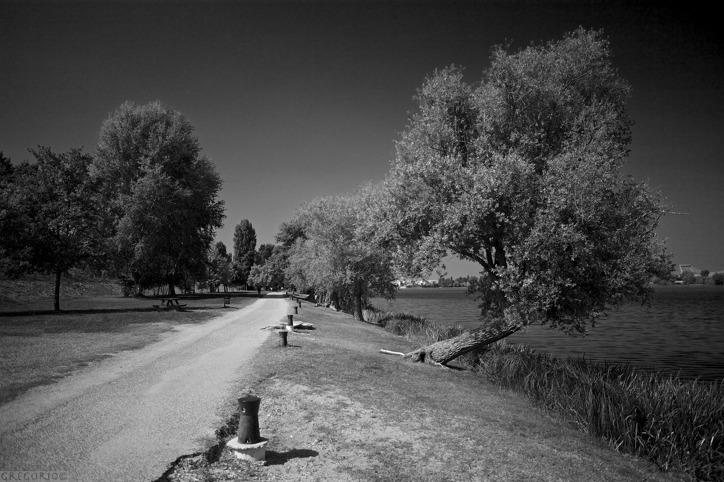 Mantua September 2013
