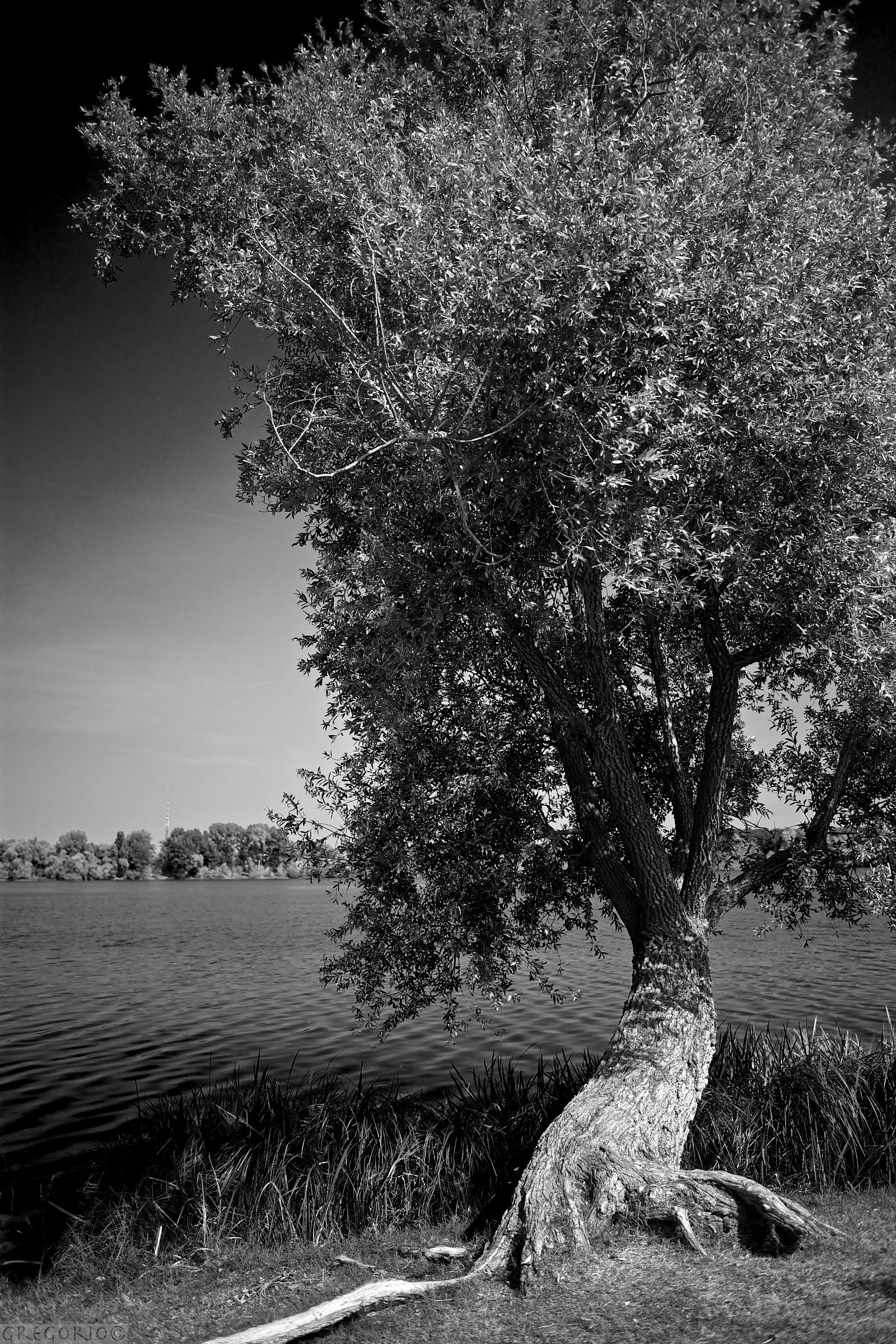 Mantua September 2013