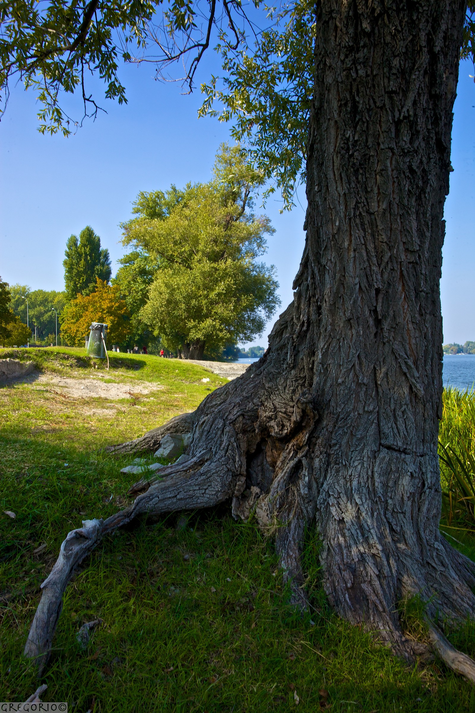Mantua September 2013