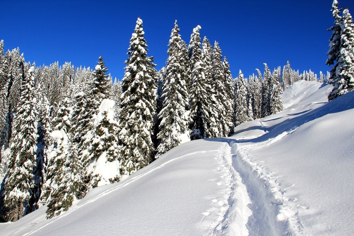 Candore scintillante