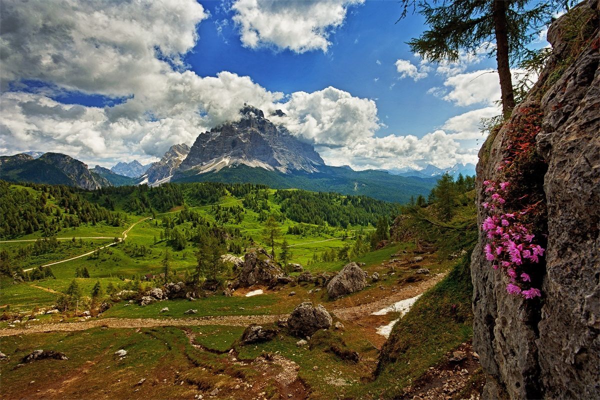 the colors of summer