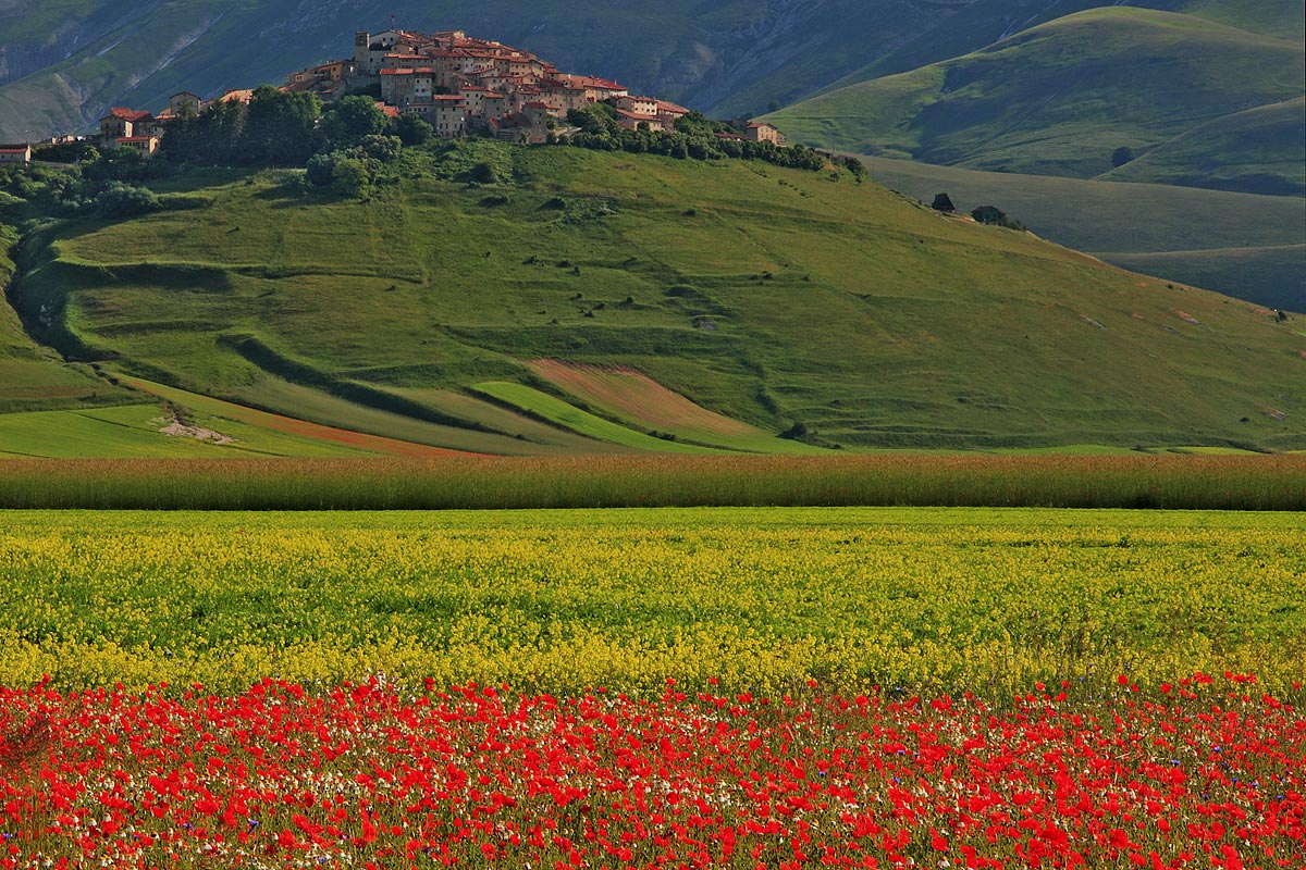 Castelluccio