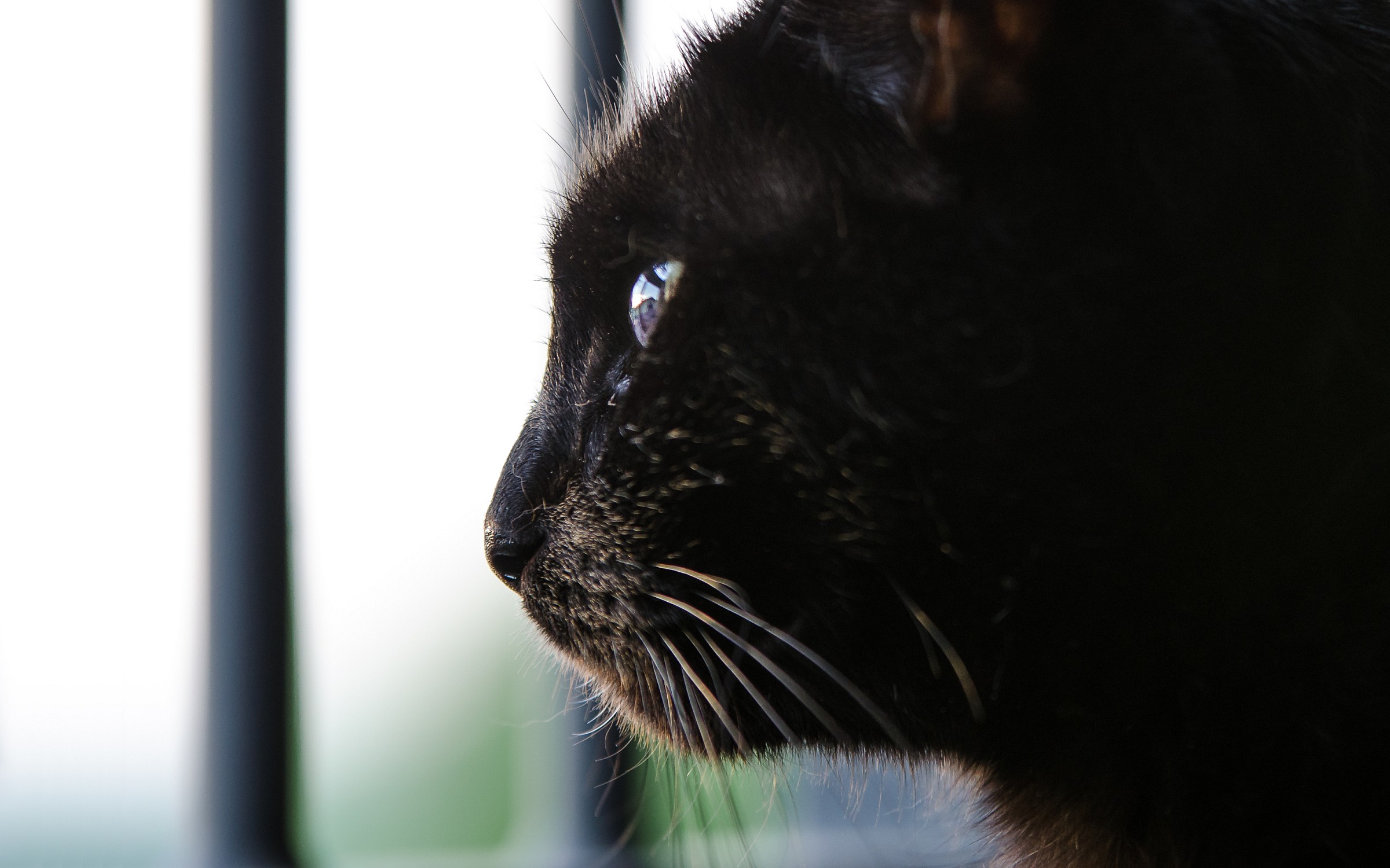 Freedom in a reflection