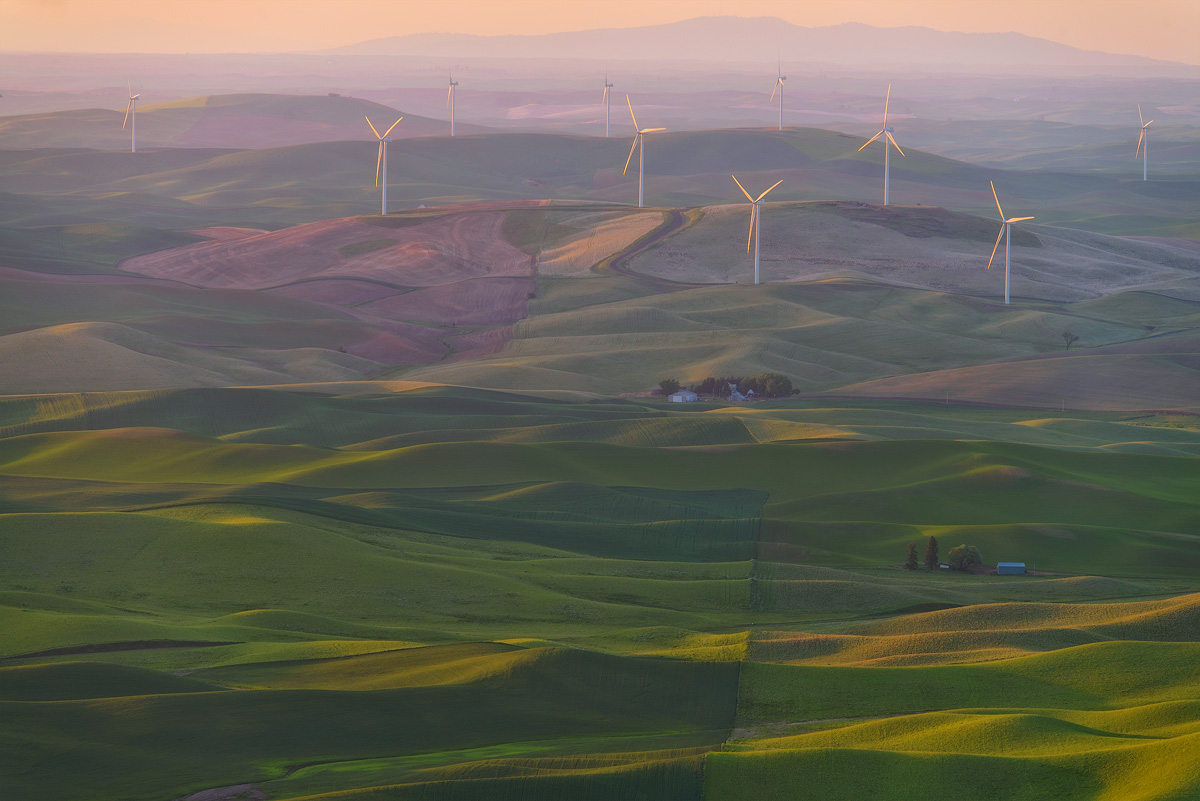Palouse from Steptoe Butte
