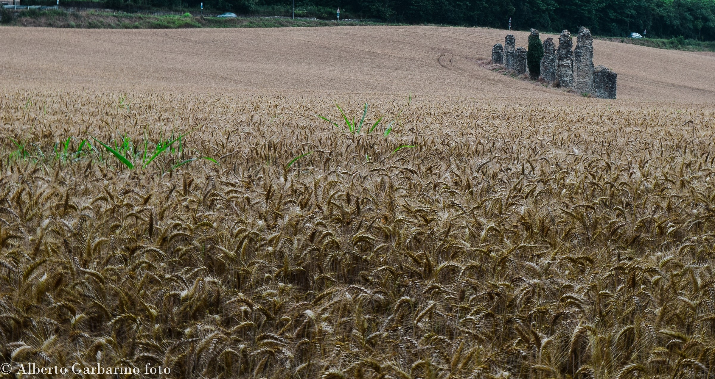 acquedotto romano acqui terme