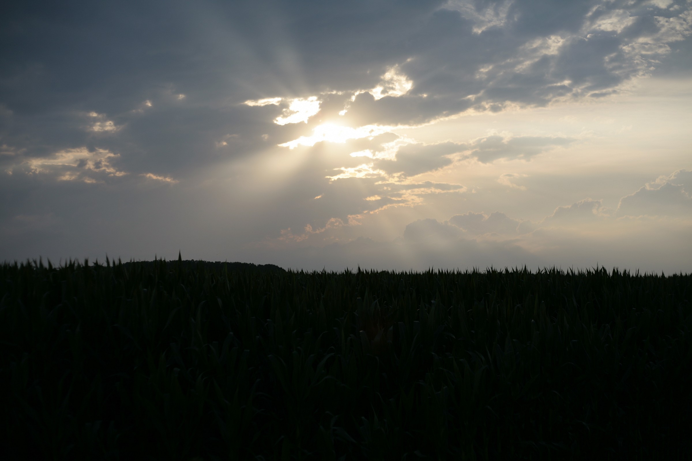 Rays of sun through the clouds