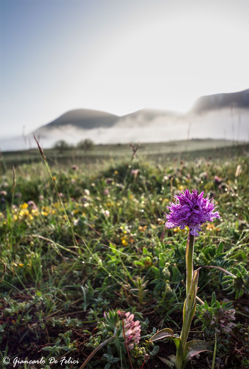 The fog goes away and comes a new day