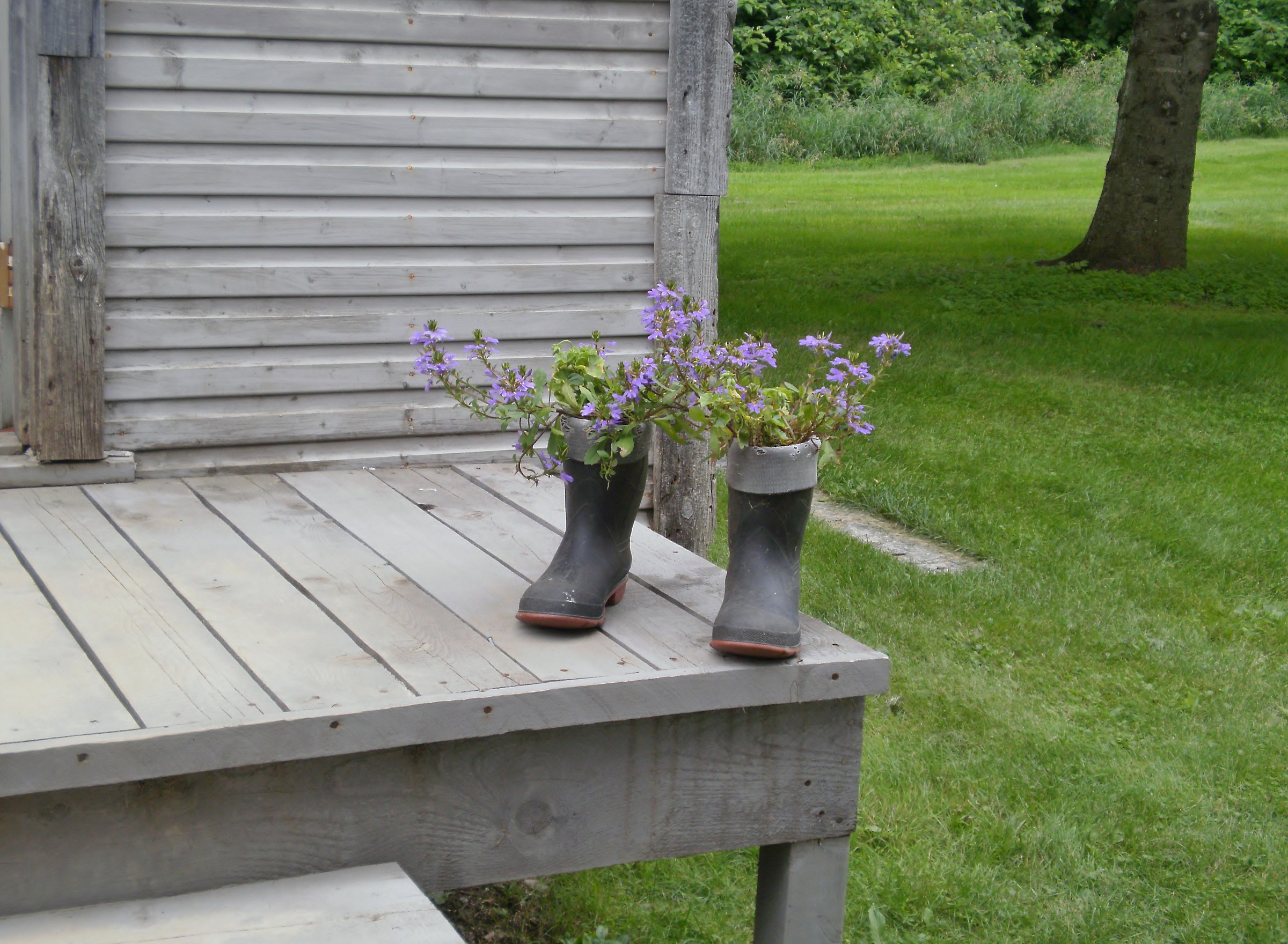 Paese che vai..usanza che trovi!