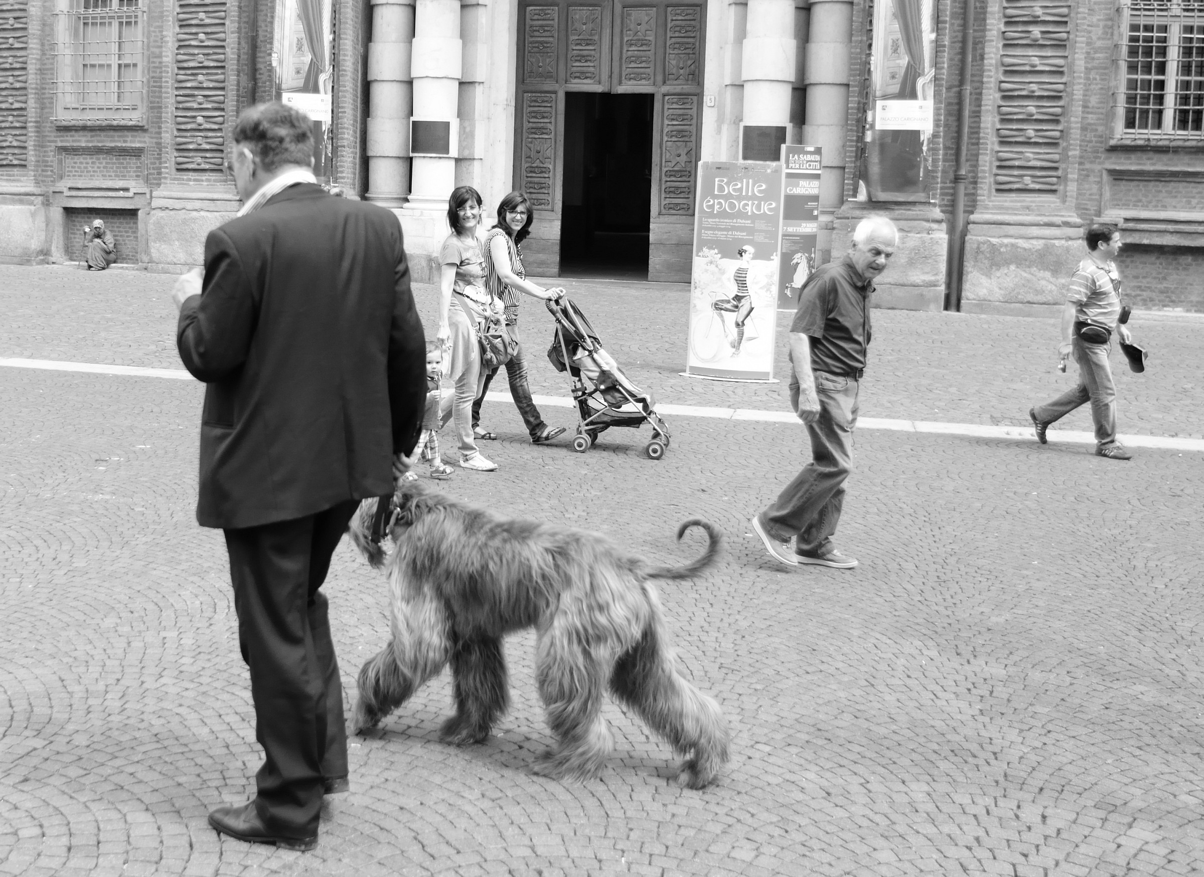 Lui ed il levriero afgano