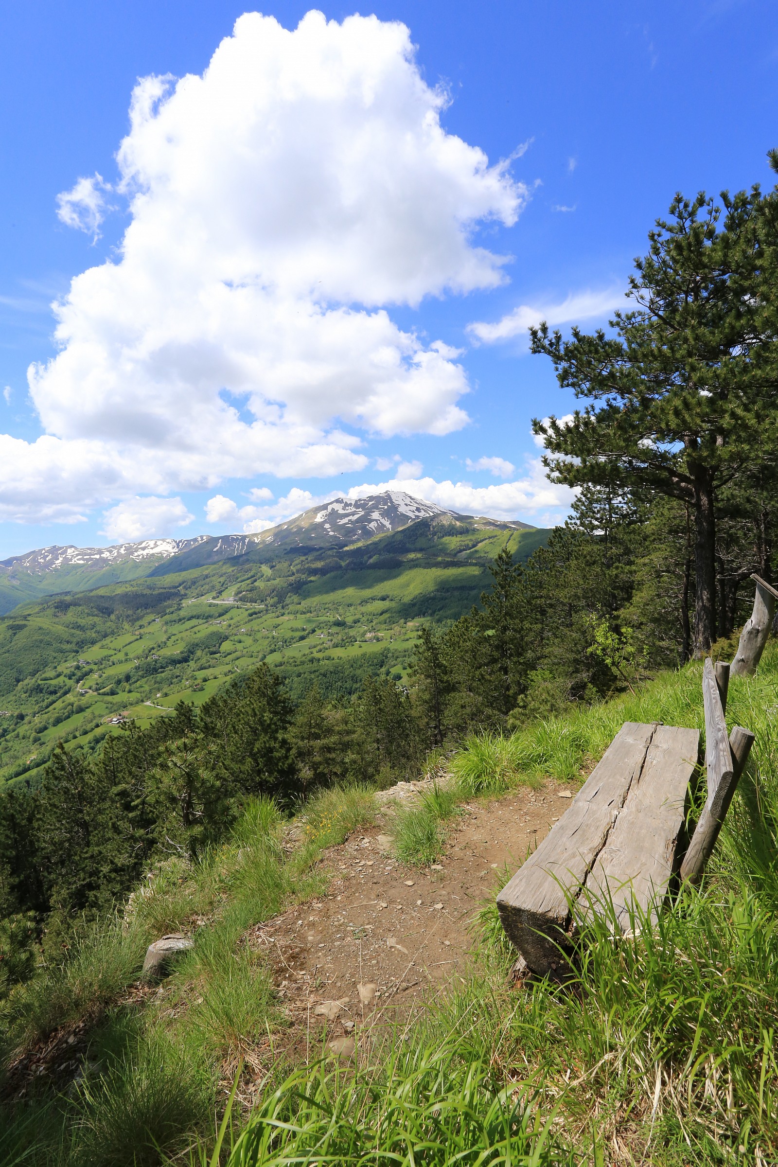 il cimone e la sua vallata