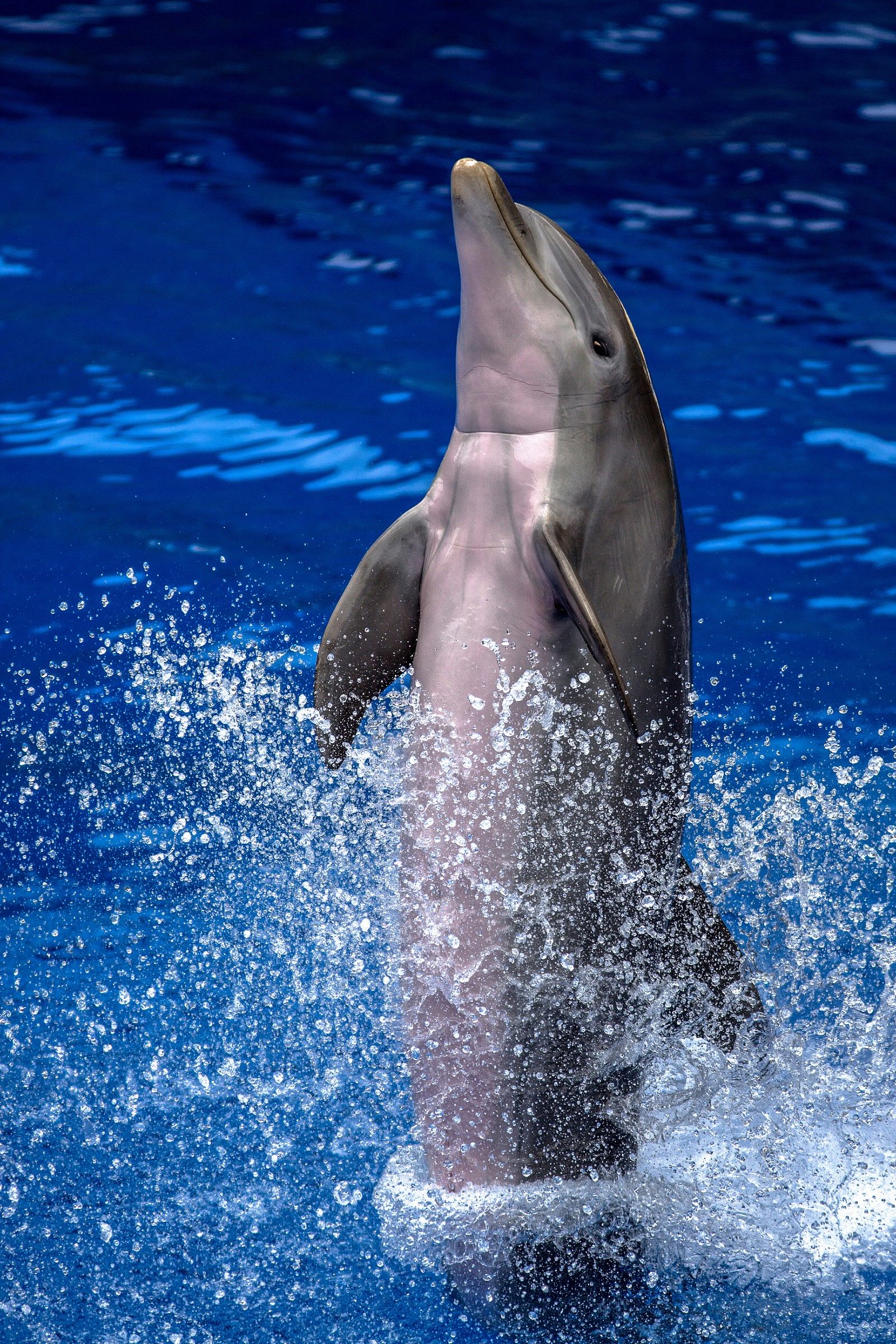 Palmitos Park, Gran Canaria