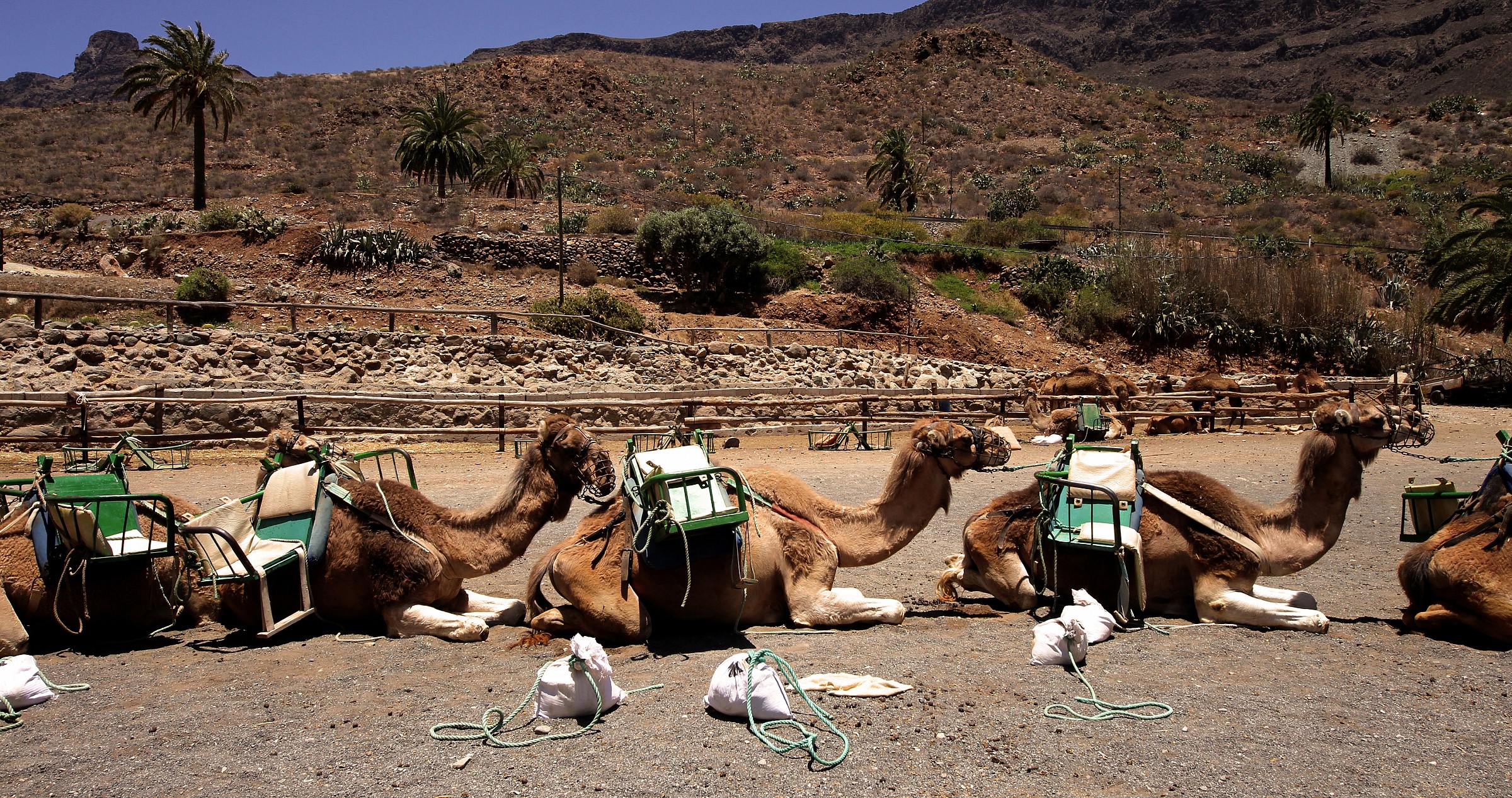 Gran Canaria, the south
