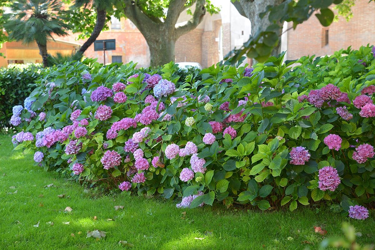 In the hamlet of practice of sea