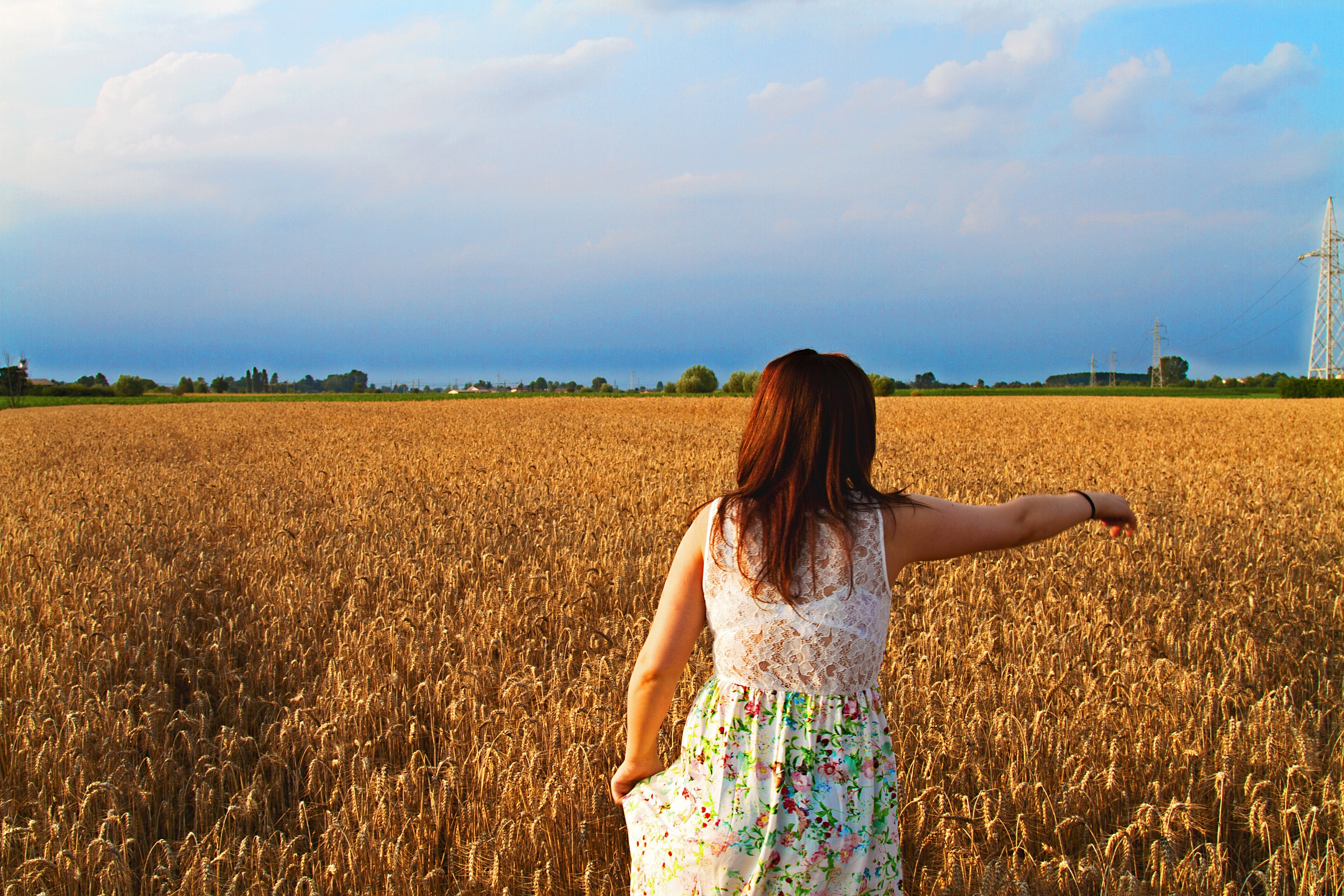 Wheat field