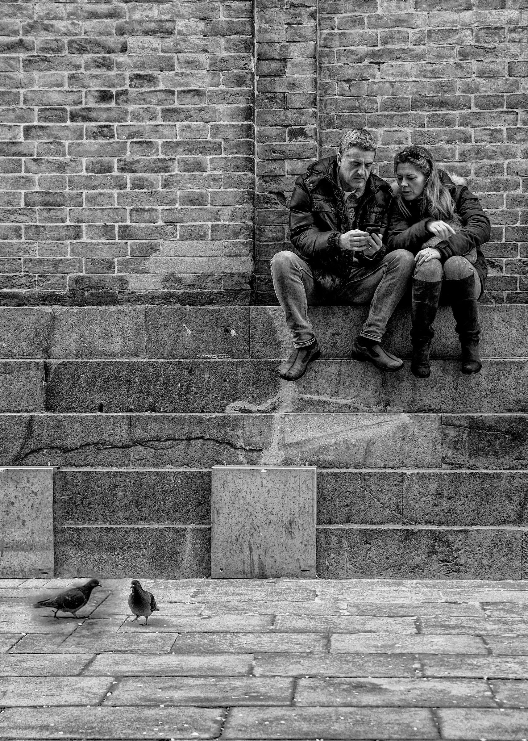 Piccioncini (street veneziana 3)