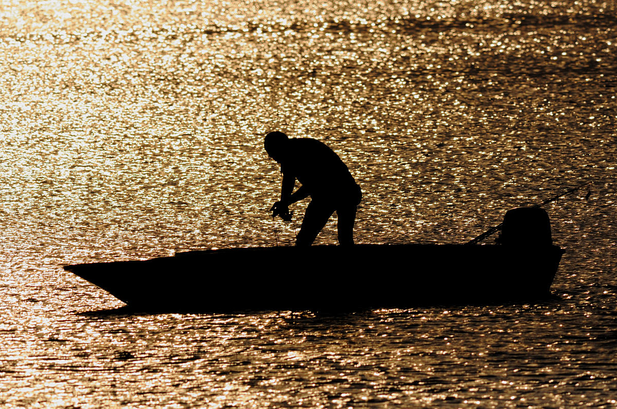 Fisherman at dusk