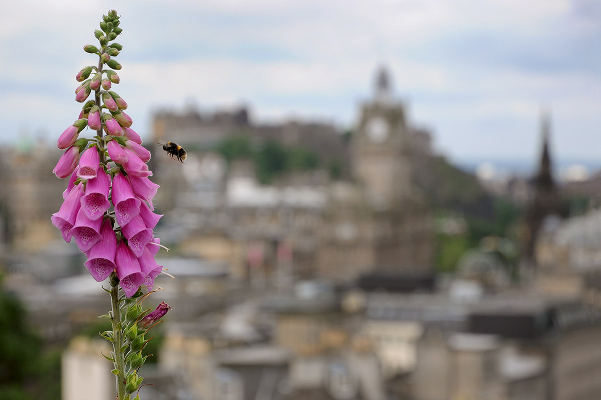 E sullo sfondo Edimburgo