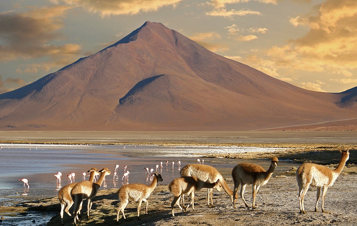 Laguna Colorada III
