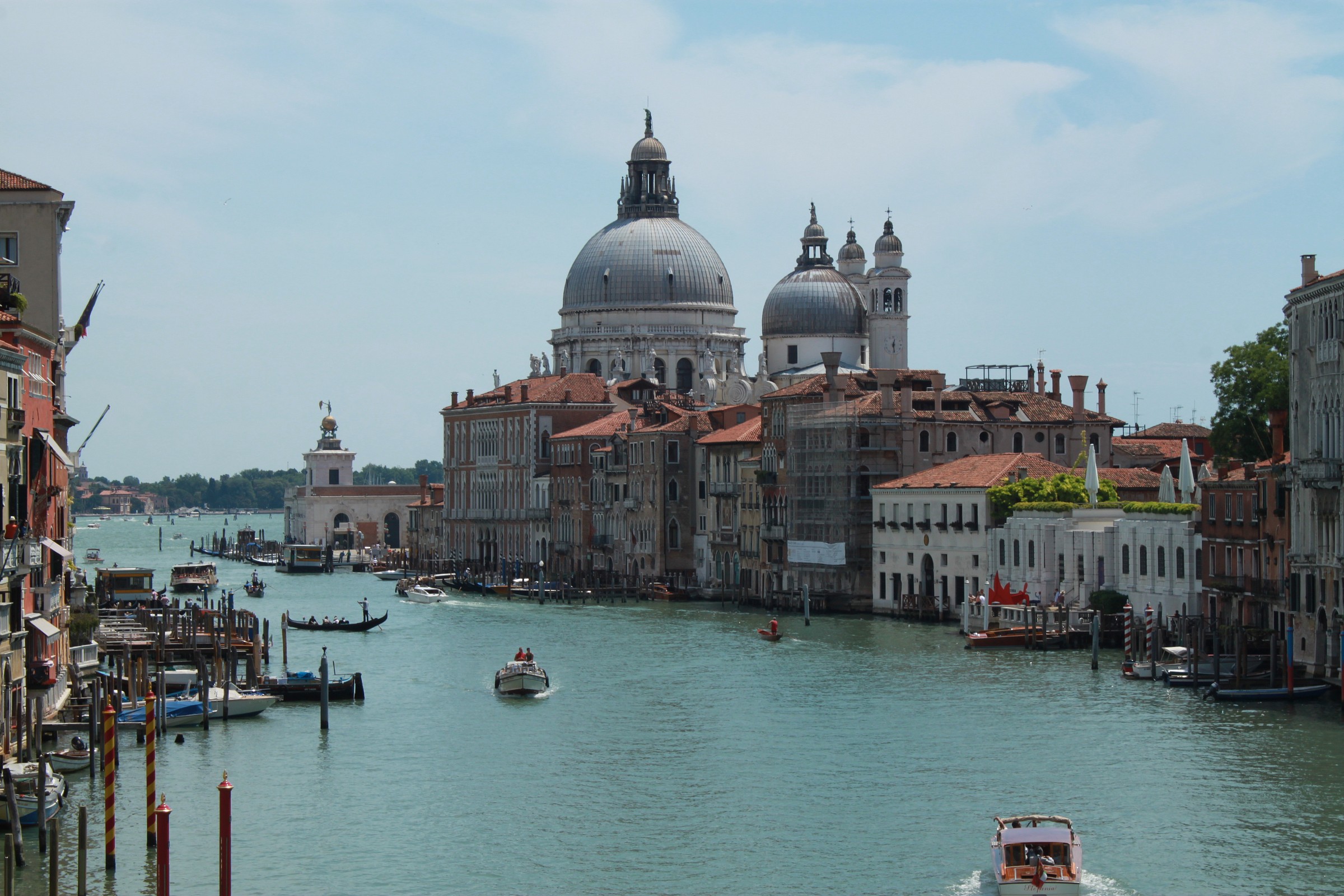 From the Ponte dell'Accademia