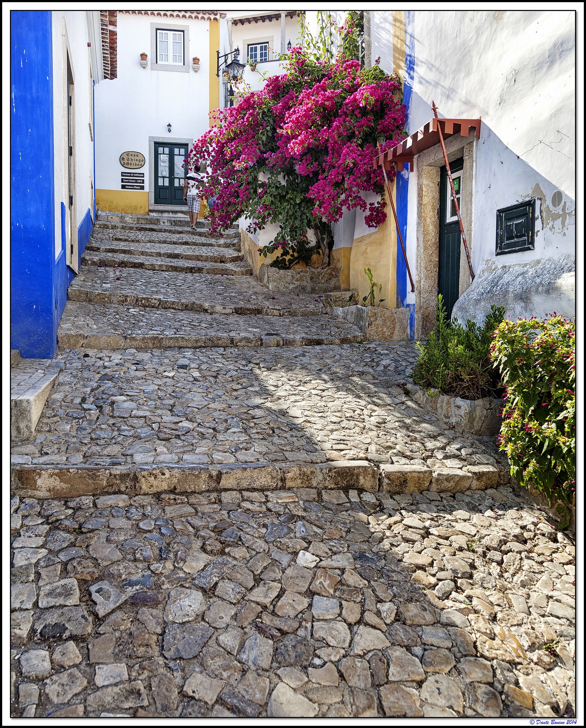 Streets of Obidos