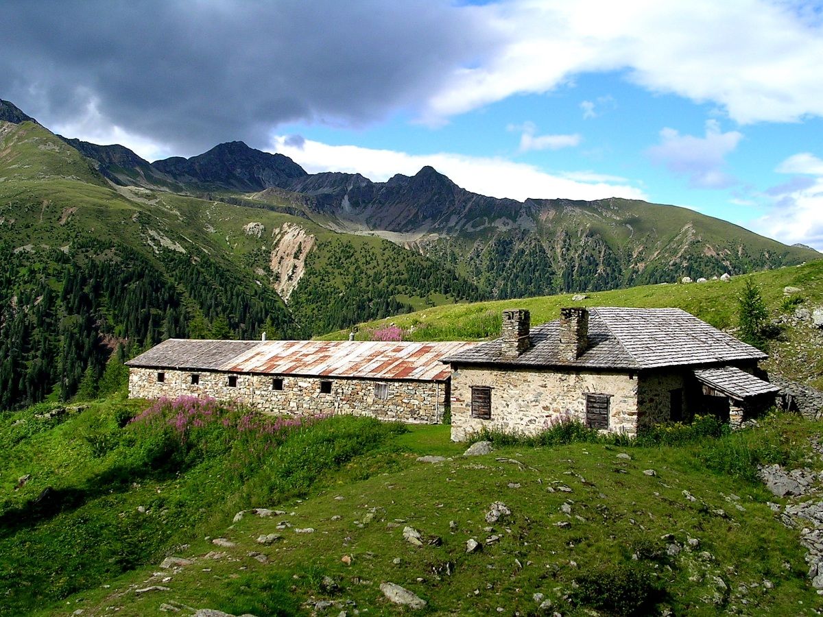 Malga in mezzo al verde
