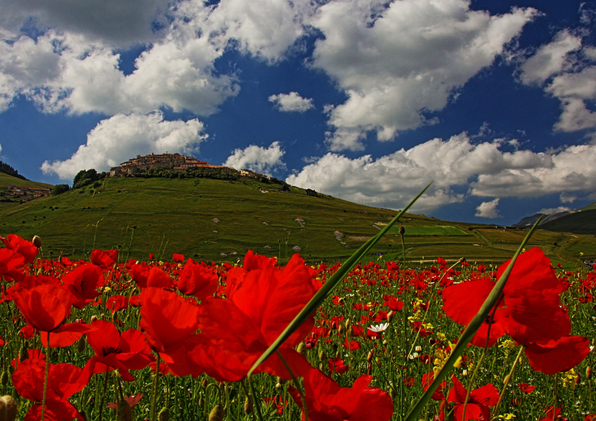 castelluccio