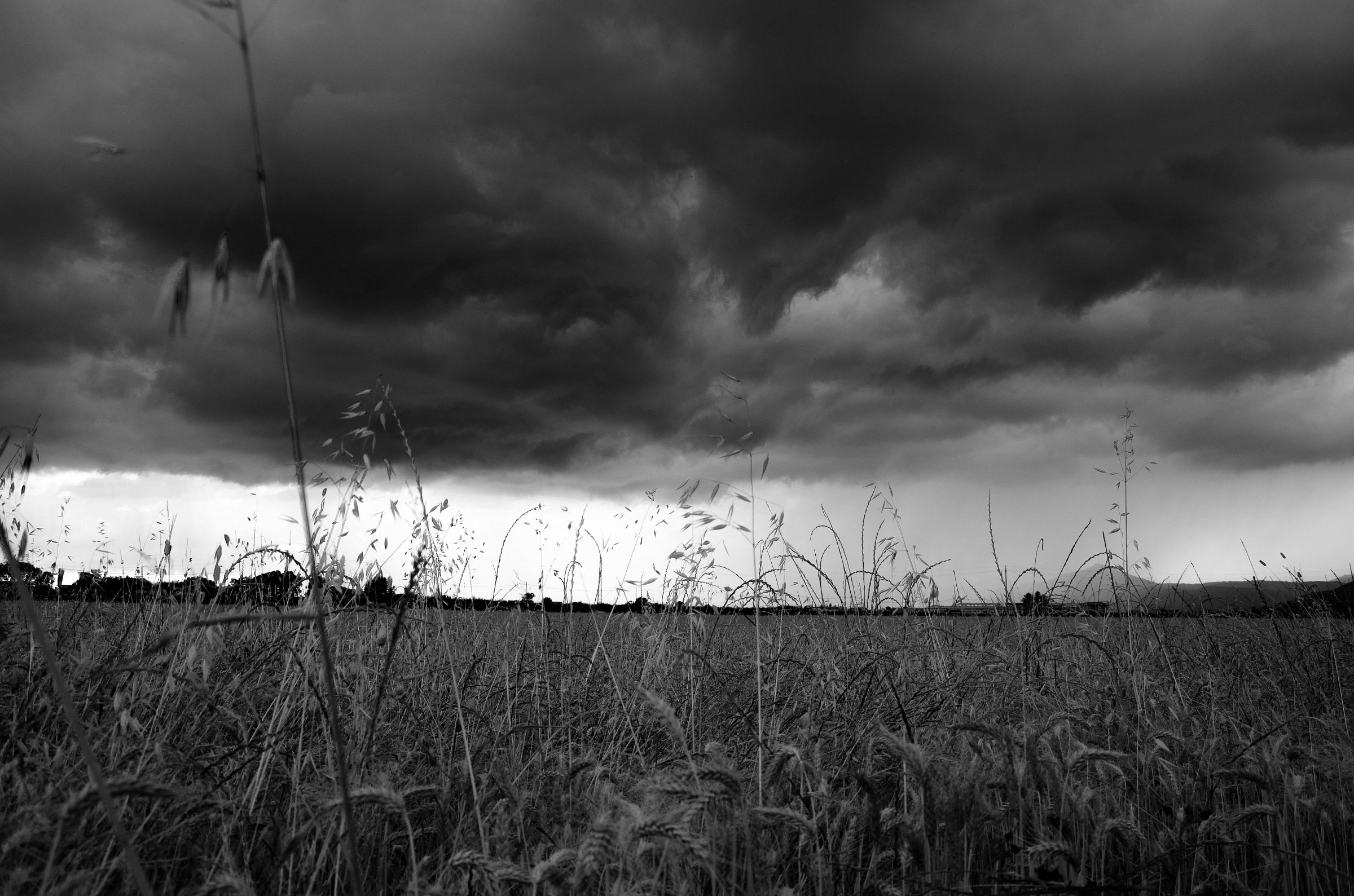 a thunderstorm in the country