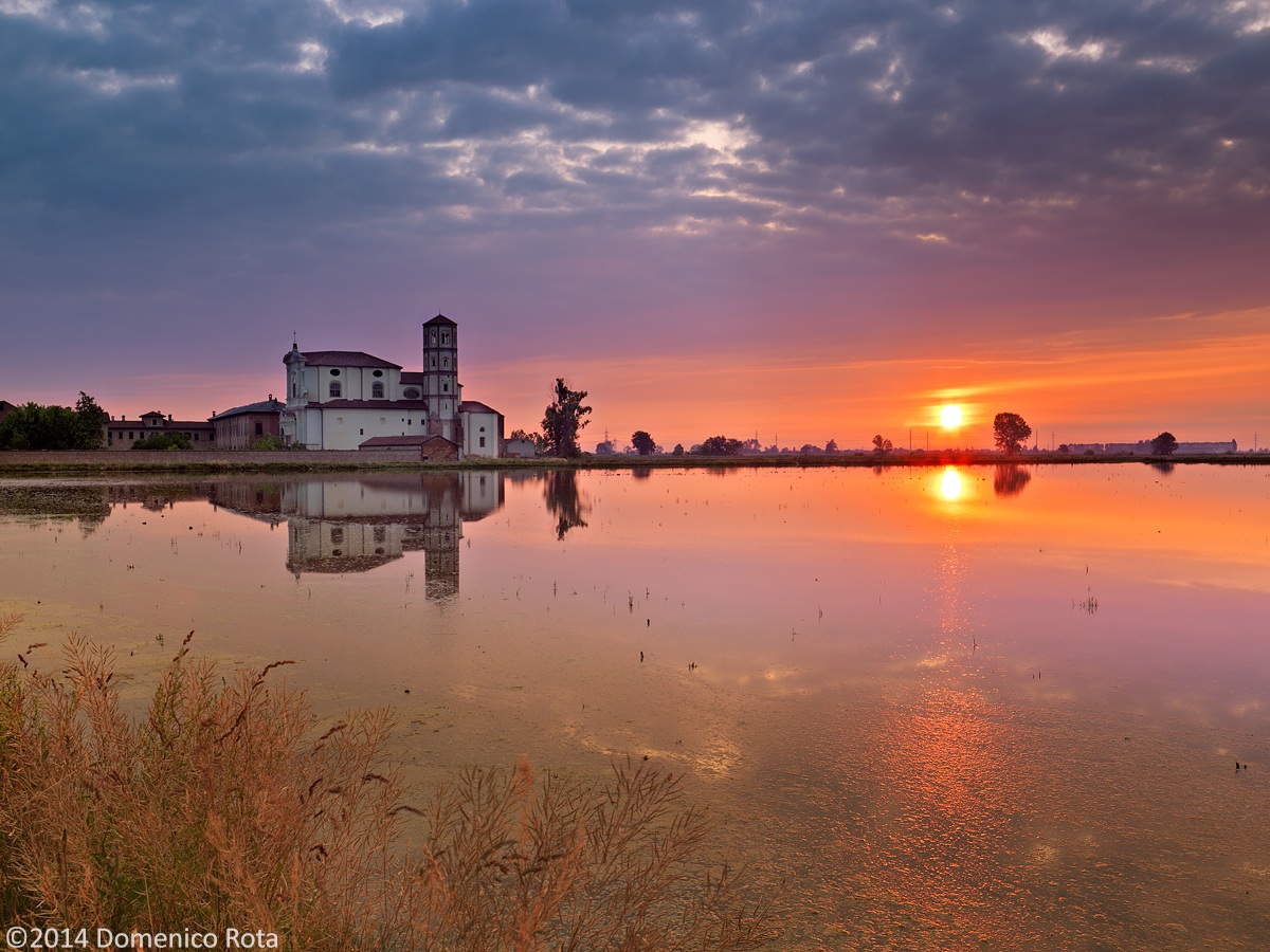 The first light of dawn among the rice paddies of Lucedio